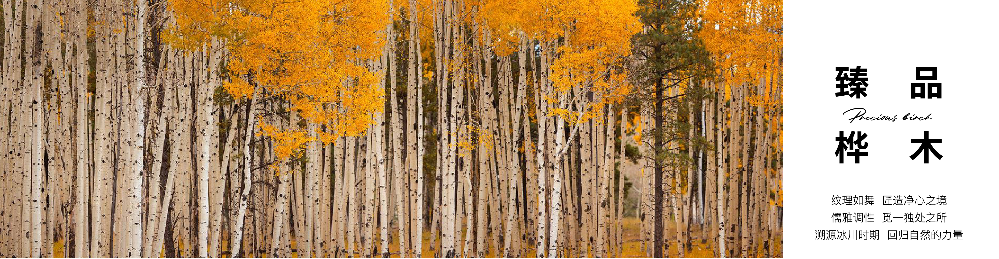 遇薦全樺丨品質(zhì)內(nèi)外兼修 ，釋放”全健康“本真